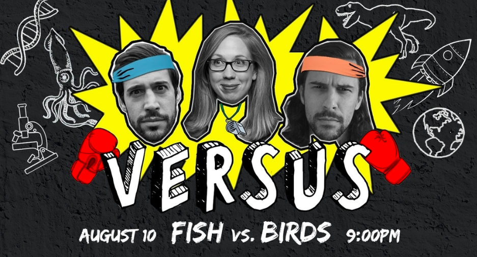 Fish vs Birds Caveat