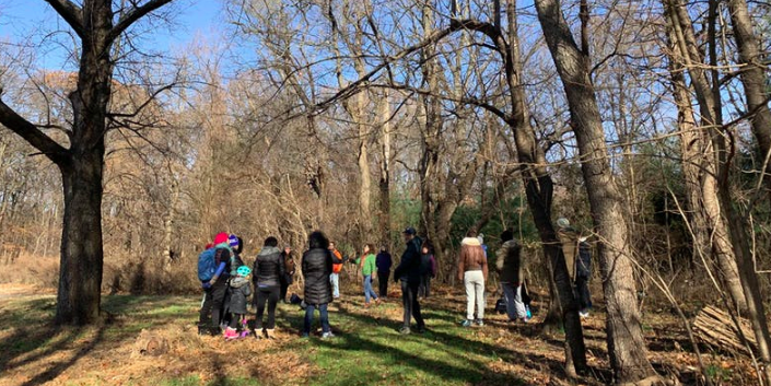 Forest Bathing Staten Island